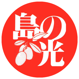 島の光 手延べそうめん 赤帯 6kg 化粧箱入 | 手延べそうめん | 【公式